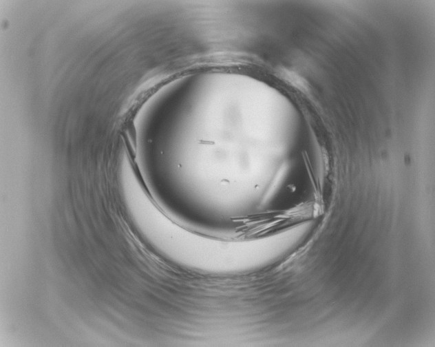 X0000055521451200508151418