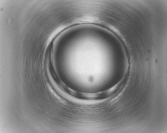 X0000055521469200508151418