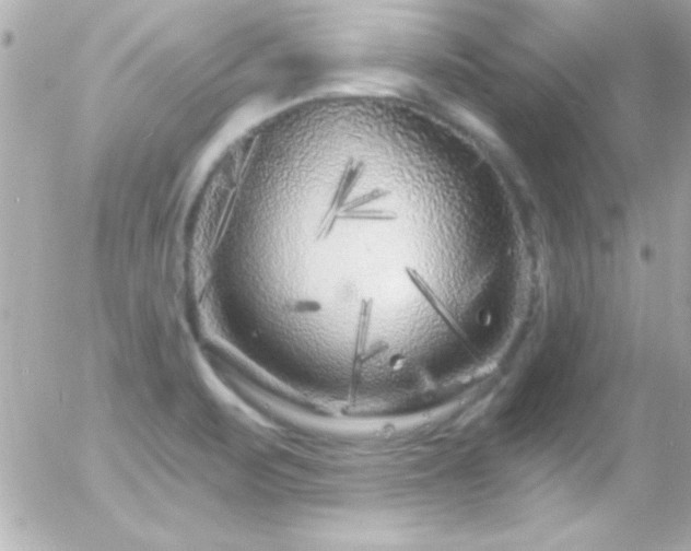 X0000055521471200508151418