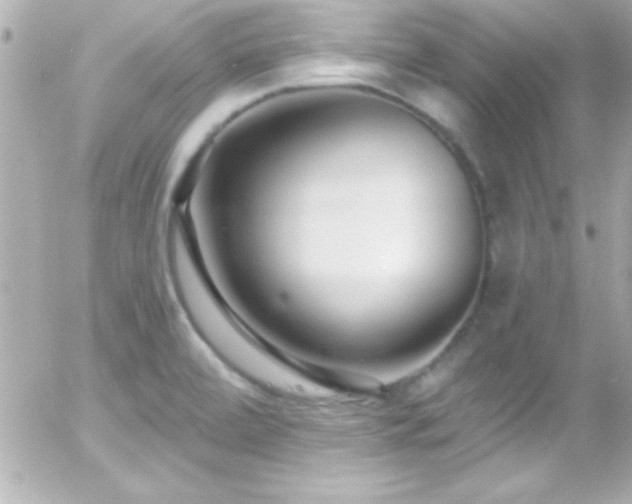 X0000055521472200508151418