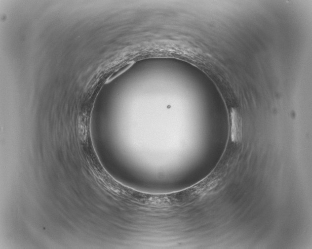 X0000055521491200508151416