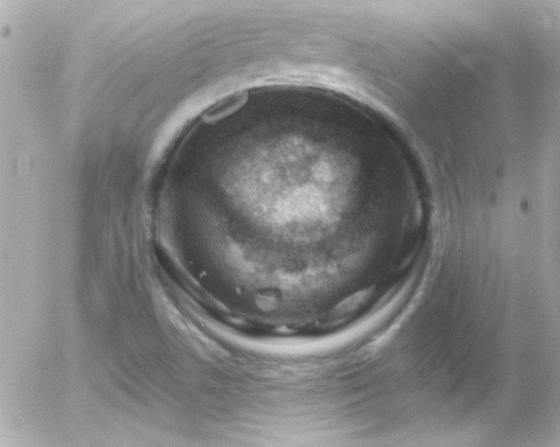X0000055521506200508151416