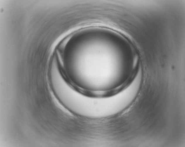 X0000055521518200508151417