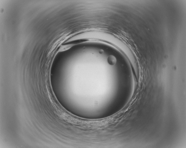 X0000055520001200508191557