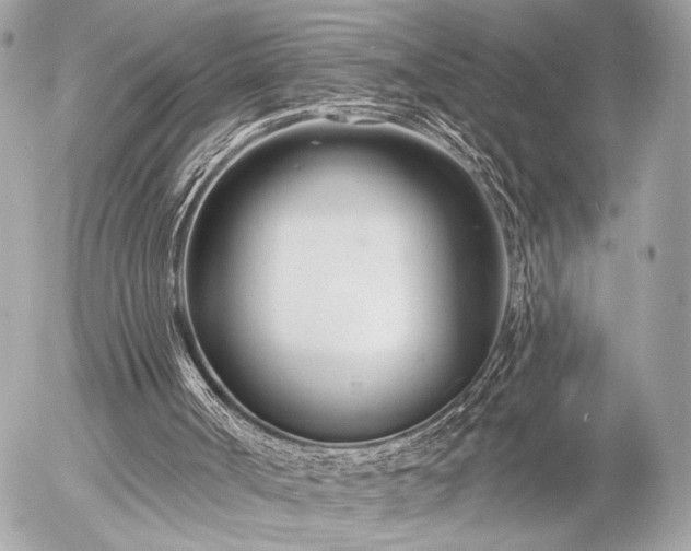 X0000055520002200508191557