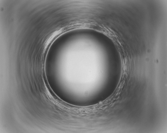 X0000055520003200508191557