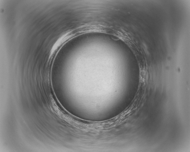 X0000055520004200508191557