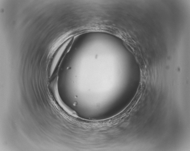 X0000055520005200508191557