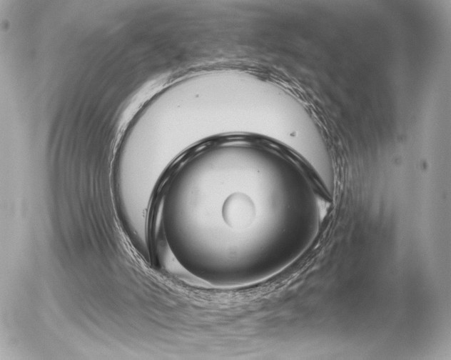 X0000055520006200508191557