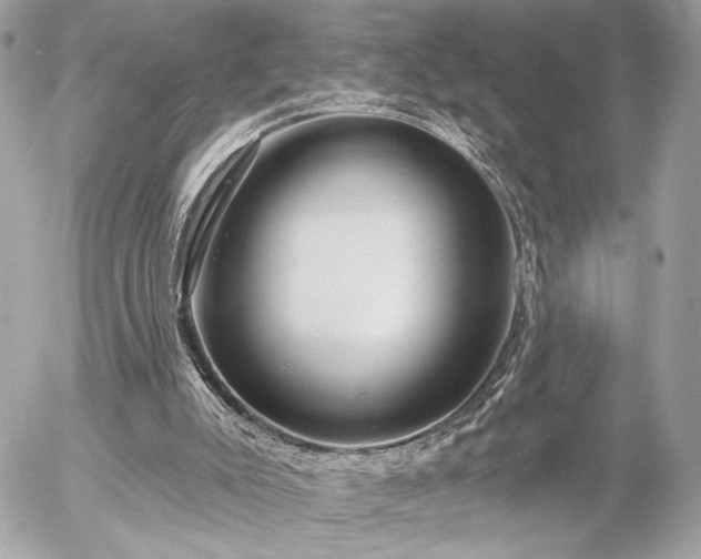 X0000055520007200508191557