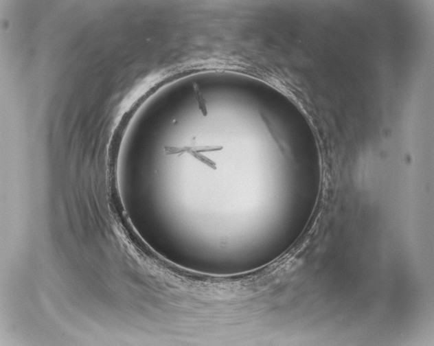 X0000055520008200508191557