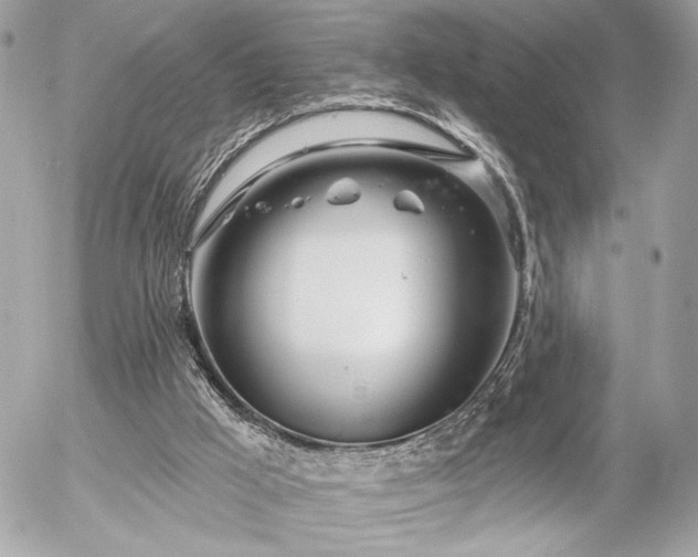 X0000055520009200508191557