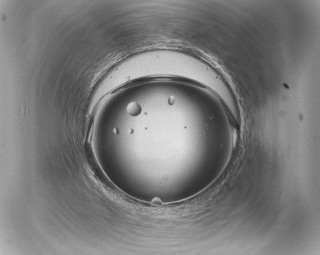 X0000055520010200508191557