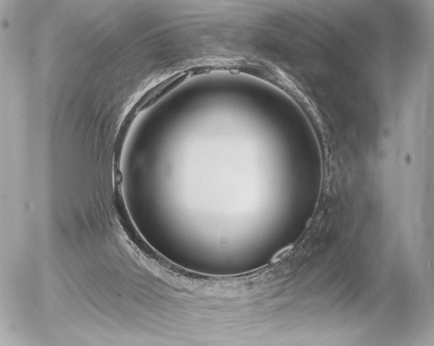 X0000055520011200508191557