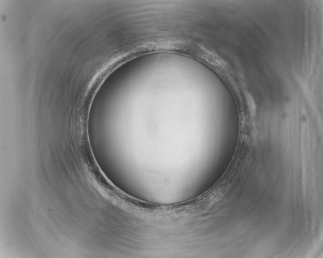 X0000055520012200508191557