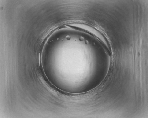 X0000055520013200508191557