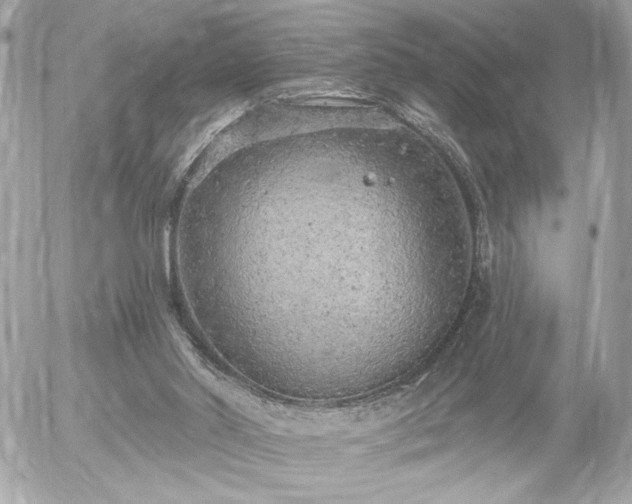 X0000055520014200508191557