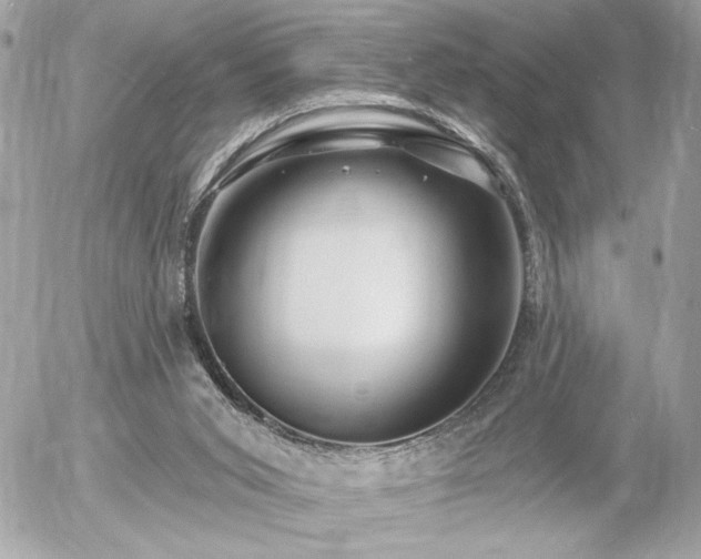 X0000055520015200508191557