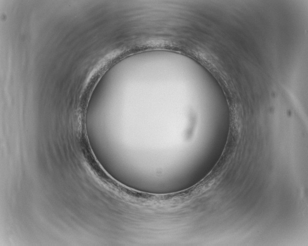 X0000055520016200508191557