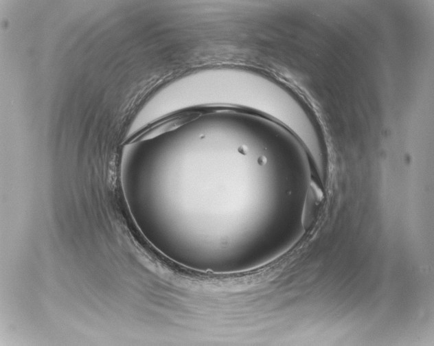 X0000055520017200508191557