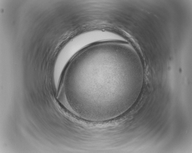 X0000055520018200508191557