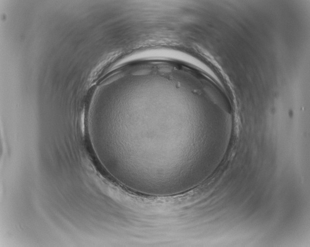 X0000055520019200508191557