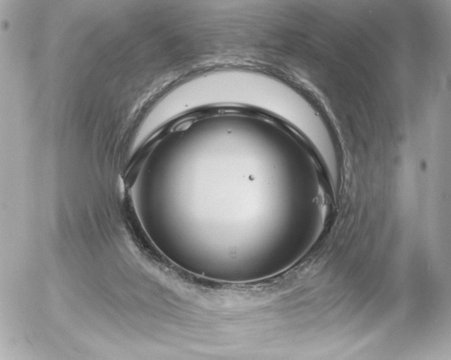 X0000055520020200508191557