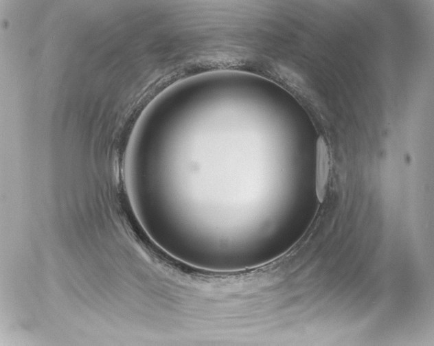 X0000055520021200508191557