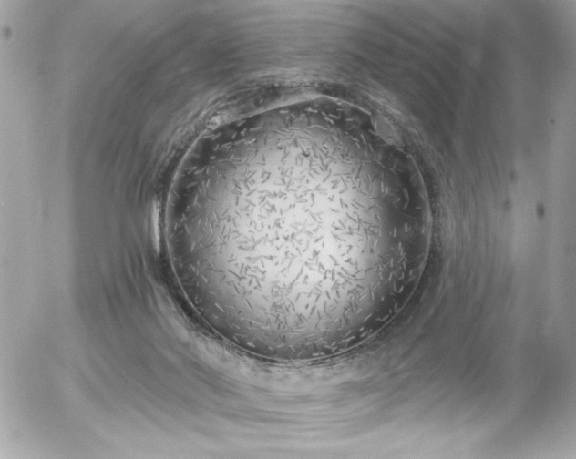 X0000055520022200508191557