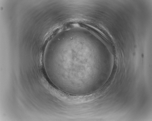 X0000055520023200508191557