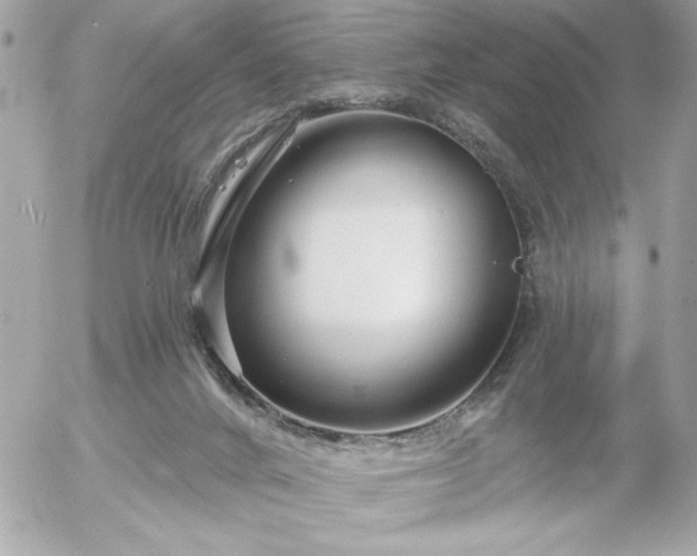 X0000055520024200508191557