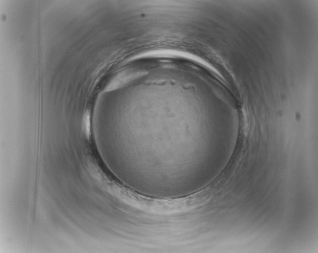 X0000055520027200508191557