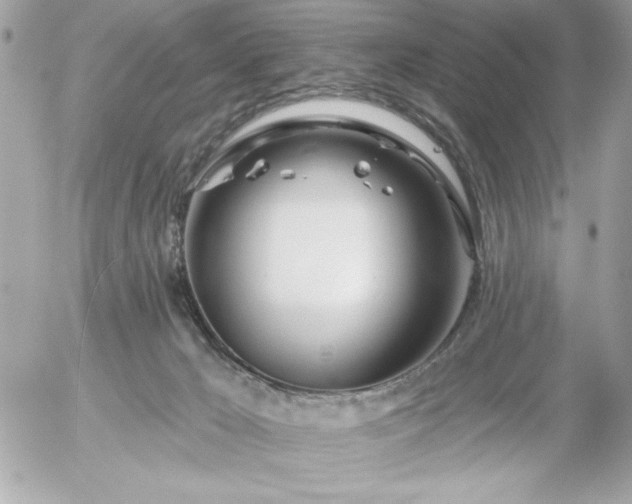 X0000055520029200508191557