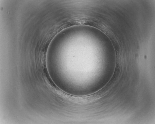 X0000055520030200508191557