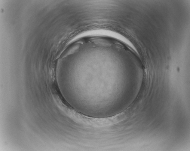 X0000055520031200508191557