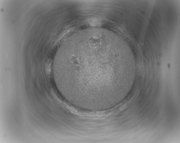 X0000055520032200508191557