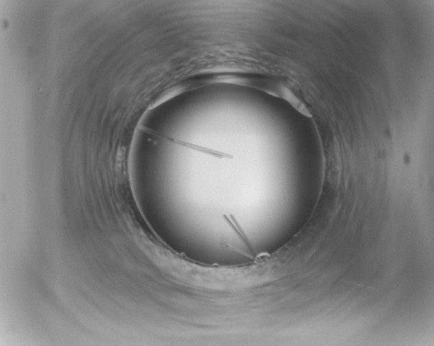 X0000055520034200508191557