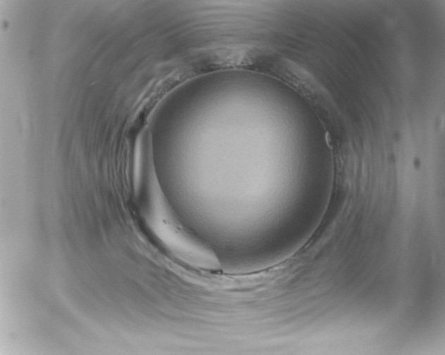 X0000055520035200508191557