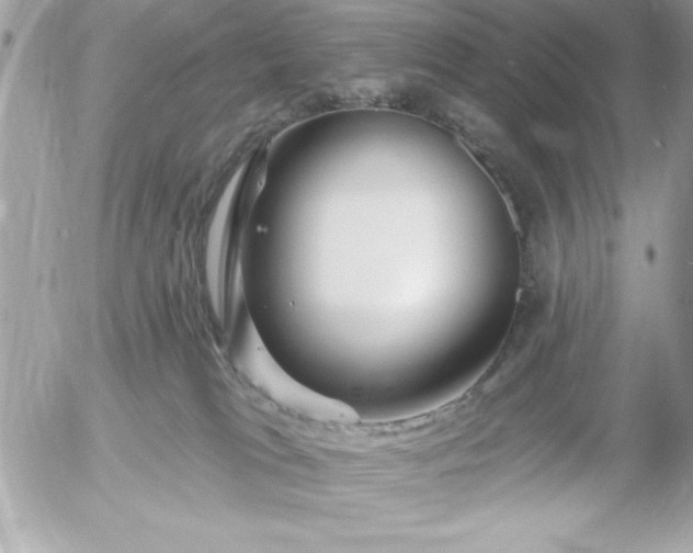 X0000055520037200508191557