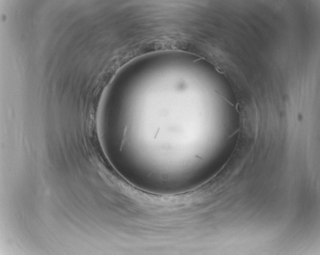 X0000055520038200508191557