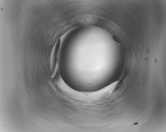 X0000055520040200508191557