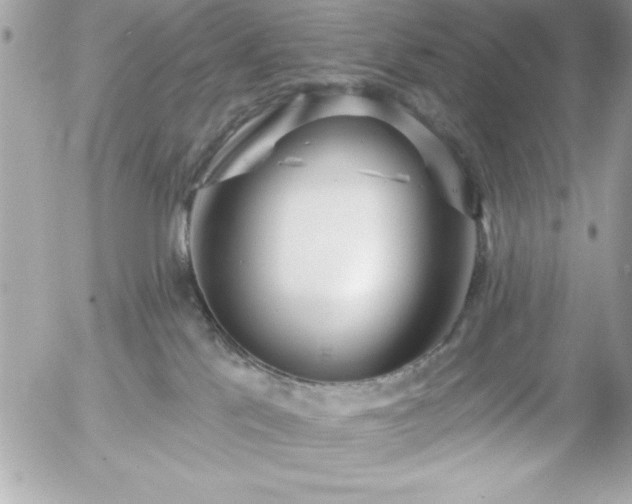 X0000055520041200508191557