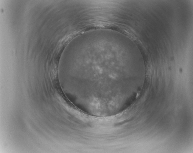 X0000055520043200508191557