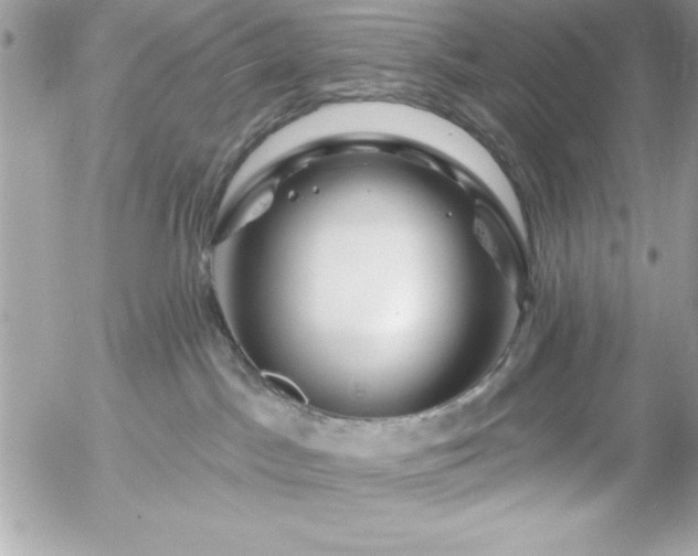 X0000055520045200508191557