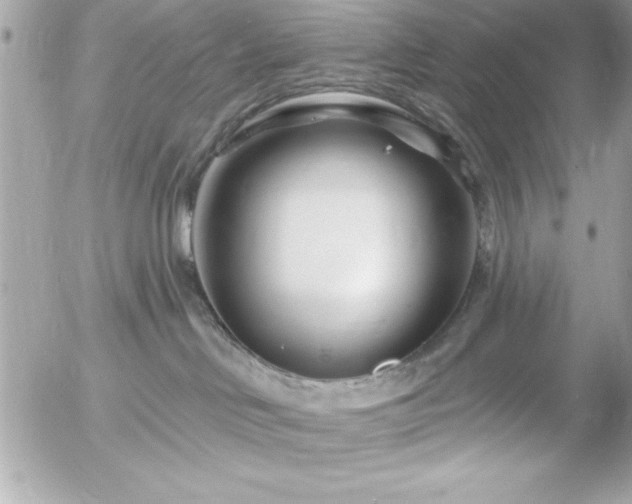 X0000055520046200508191557