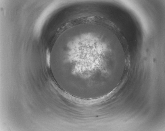 X0000055520047200508191557