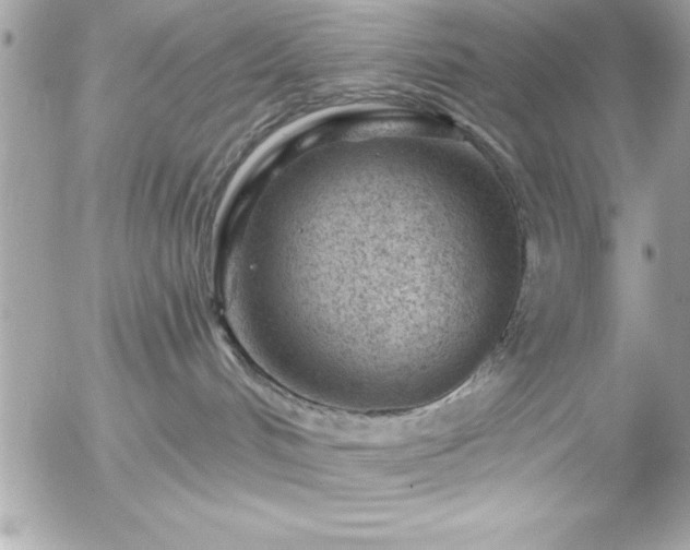 X0000055520048200508191557