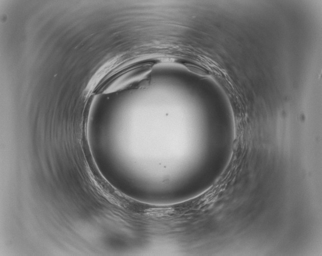 X0000055520051200508191556