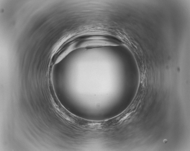 X0000055520052200508191556