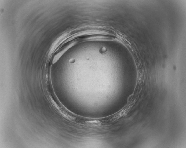 X0000055520053200508191556